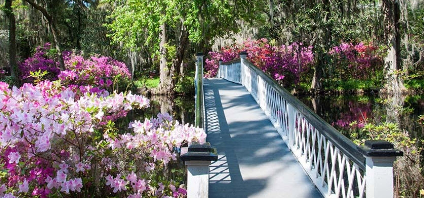 Magnolia Plantation and Gardens, United States